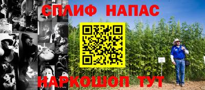 стаф Абакан