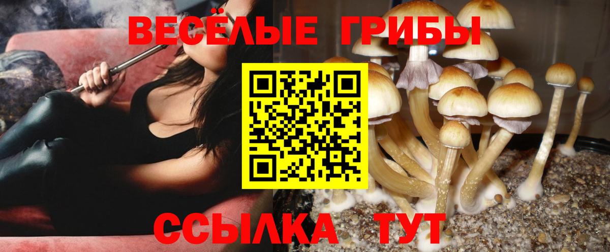 Псилоцибиновые грибы Magic Shrooms Абинск